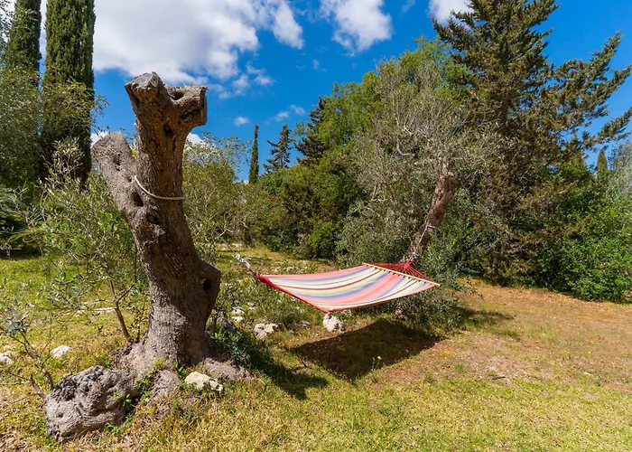 La Pajara De La Urpe * 斯佩起亚