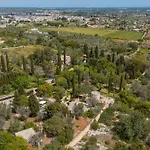 La Pajara De La Urpe