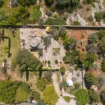 La Pajara De La Urpe *