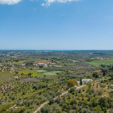 La Pajara De La Urpe