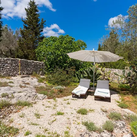 別荘 La Pajara De La Urpe スペッキア