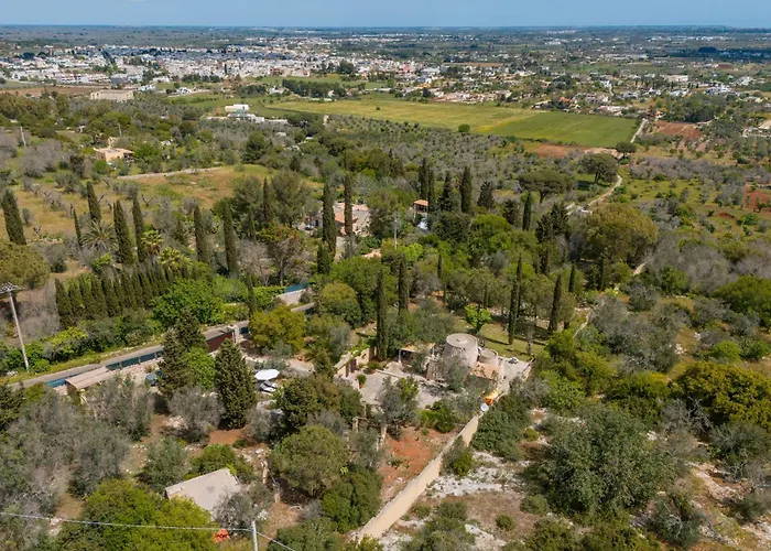 La Pajara De La Urpe