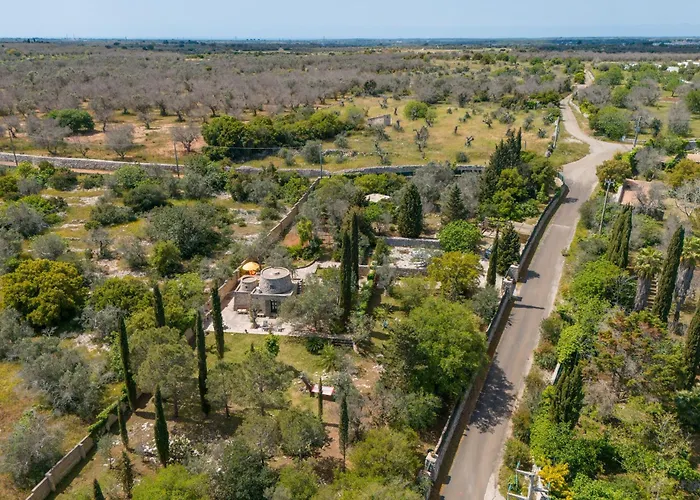 La Pajara De La Urpe